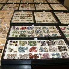 Snap Jewelry Components at Store