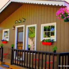 Ladybug One of Several Buildings