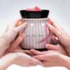 Scentsy Wickless Candles