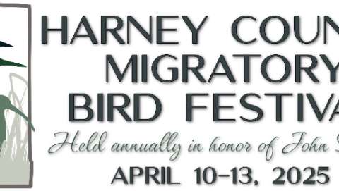 Migratory Bird Festival