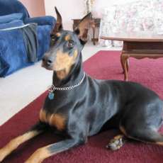 Elizabeth Greenawalt