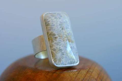 Fossil coral ring in sterling