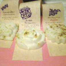 Soap Trio Sample pack