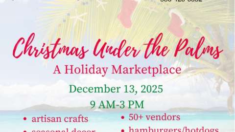Christmas Under the Palms