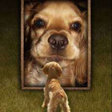 "Just Be You" book cover