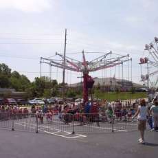 School/Church Picnic
