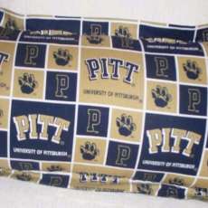 pitt u
