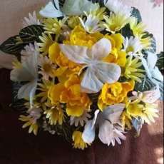 Daisies N Butterflys