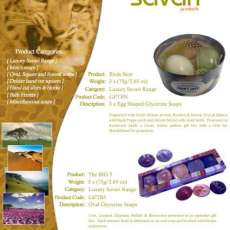 Luxury Savari Range