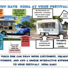 Kona Ice vs the competition