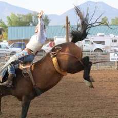 PRCA Prorodeo Happens Here!