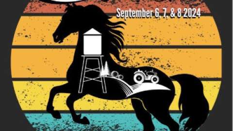 Calhoun Colt Show Fair and Festival