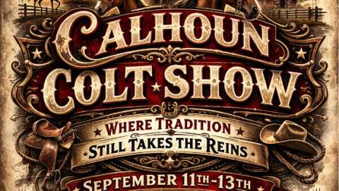 Calhoun Colt Show Fair and Festival