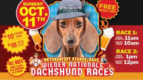 Wiener Dog Races