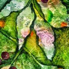 Leaves and Berries