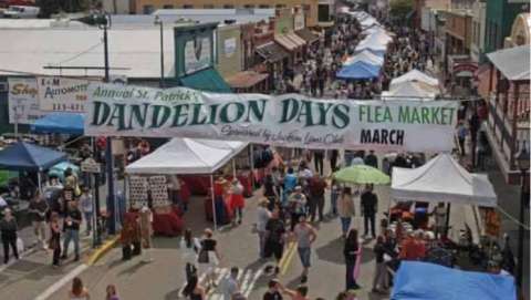 Dandelion Days Celebration