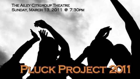 Pluck Project Winston Salem Performance