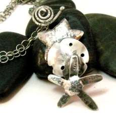 Starfish sand dollar