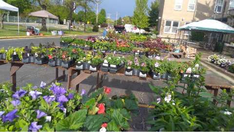 Hometown Plant and Craft Sale