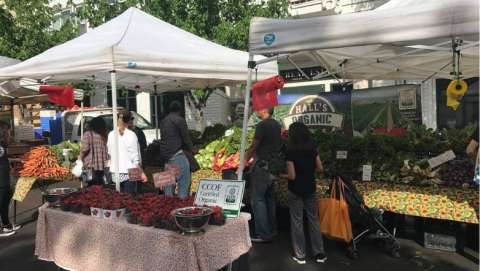 Benicia Certified Farmers Market - July