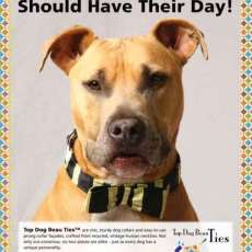 Regine Rogers Moreaux