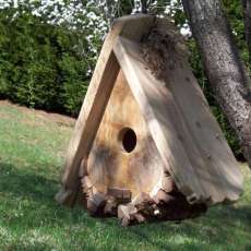 For Our Feathered Friends