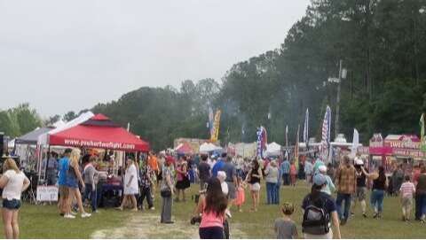 Bradford County Strawberry Festival