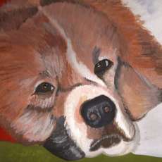 Rhonda Anderson Stimson