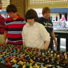 Too Many to Chose From!