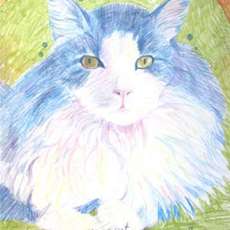 Embracing My Inner Cat