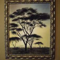 African Trees
