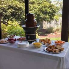 The Chocolate Fountain and Treats!