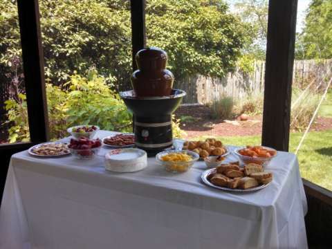 The Chocolate Fountain and Treats!