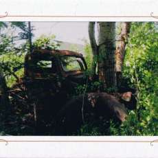 It's Been a Long Time