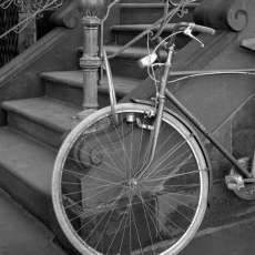 Bicycle-NYC