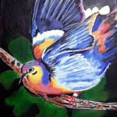 Pretty and Colorfu lPidgeon Painted in Acrylics