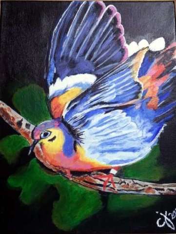 Pretty and Colorfu lPidgeon Painted in Acrylics