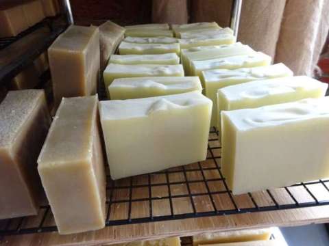 Soap Curing
