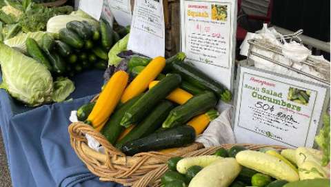 Eastern Ingham Farmer's Market - August