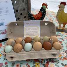 May 11, 2025 Eggs For Sale - Williamston Farm % Artisan Market