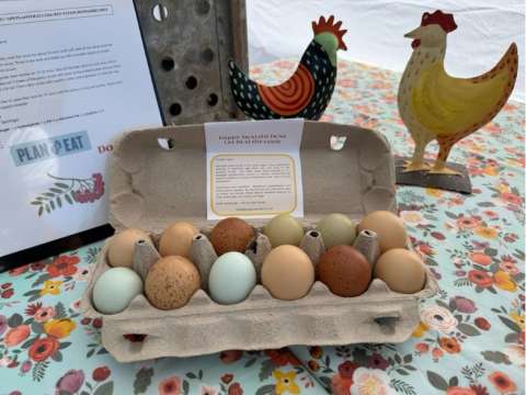 May 11, 2025 Eggs For Sale - Williamston Farm % Artisan Market