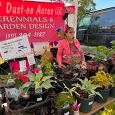 May 11, 2025 Vendor Plants For Sale at the Williamston Farm & Artisan Market