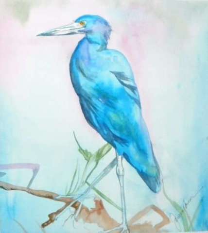 LITTLE BLUE HERON