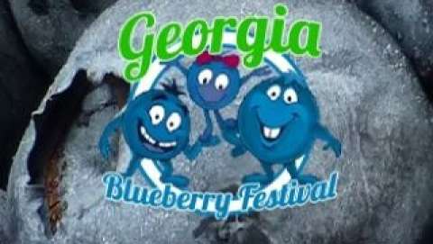 Georgia Blueberry Festival