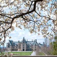 Biltmore House 2