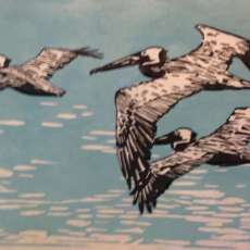 Pelican Flight