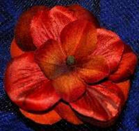 Crystal Dossman Crystal Dossman