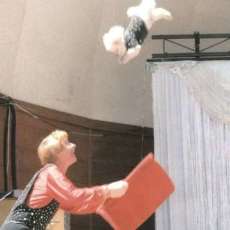 dog act photo the jump