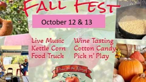 Fall Fest at the Orchard