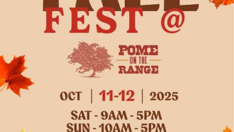 Fall Fest at the Orchard